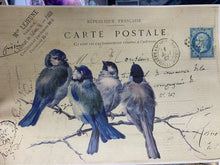 Load image into Gallery viewer, 11x17 Decorative Art Papers - Botanical, Bird or Halloween
