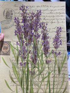 11x17 Decorative Art Papers - Botanical, Bird or Halloween