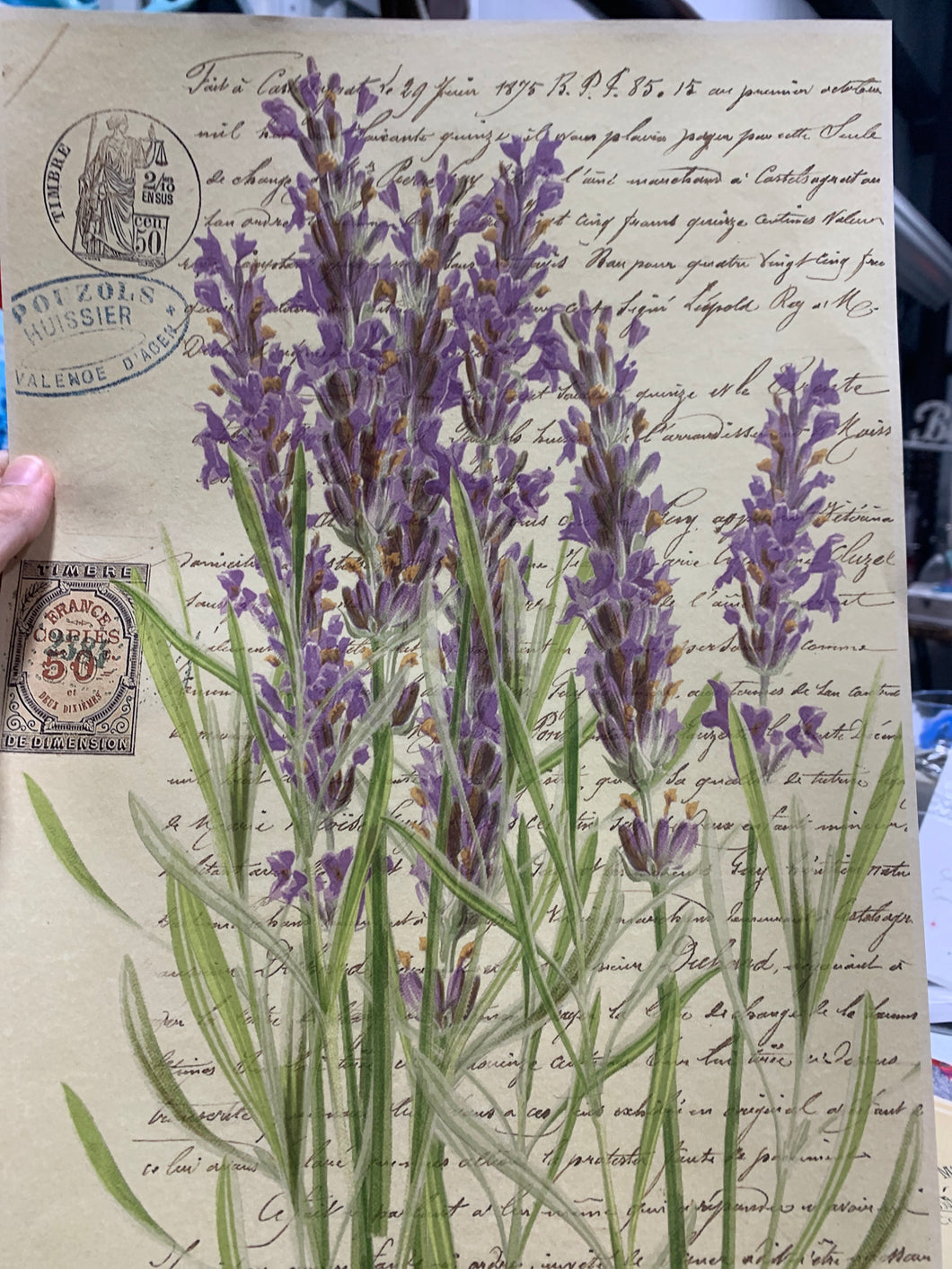 11x17 Decorative Art Papers - Botanical, Bird or Halloween