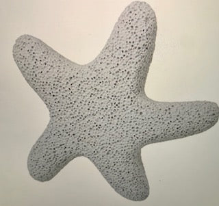 Star Fish Shaped Pumice