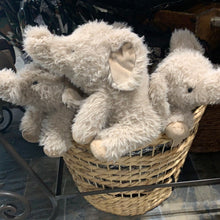 Load image into Gallery viewer, Jellycat Stuffed Animal
